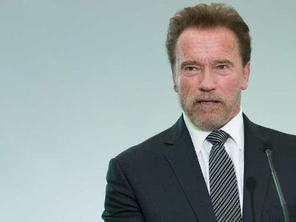 Arnold Schwarzenegger is an actor, businessman, producer and politician.